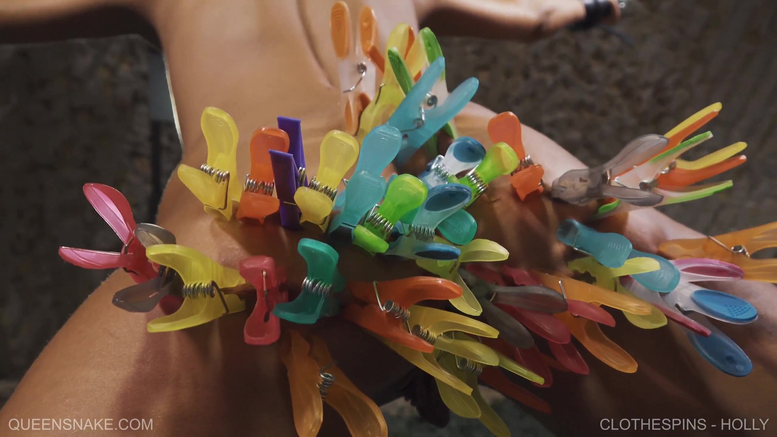 CLOTHESPINS - HOLLY